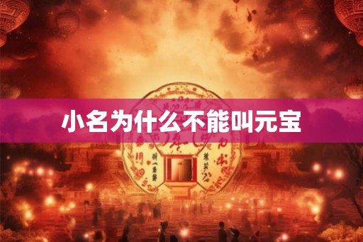 小名为什么不能叫元宝