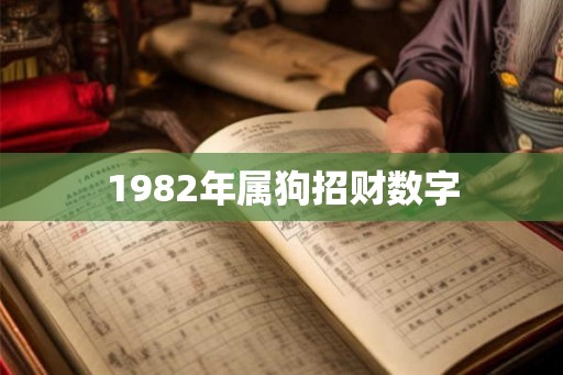 1982年属狗招财数字