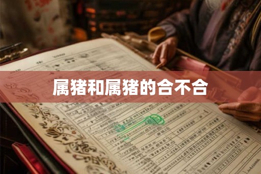 属猪和属猪的合不合