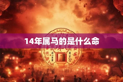 14年属马的是什么命