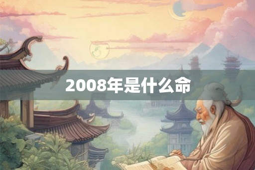 2008年是什么命