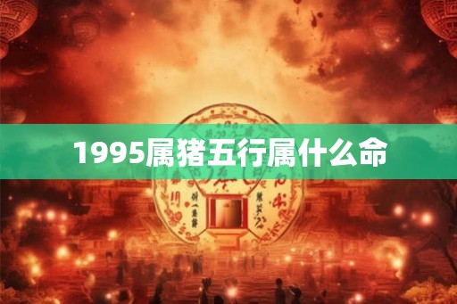 1995属猪五行属什么命
