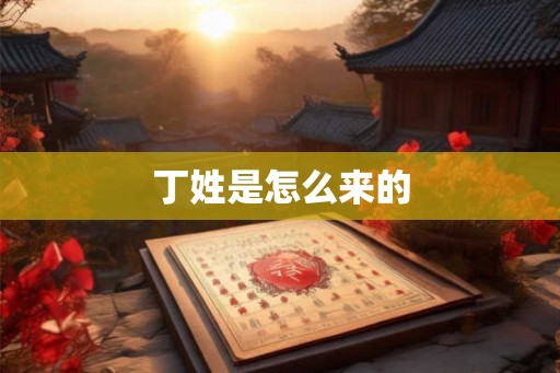 丁姓是怎么来的 丁姓是怎么来的