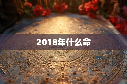 2018年什么命