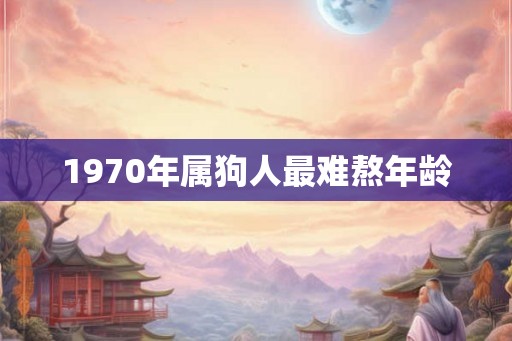 1970年属狗人最难熬年龄 1970年属狗人最难熬年龄
