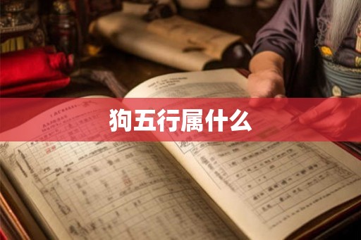 狗五行属什么
