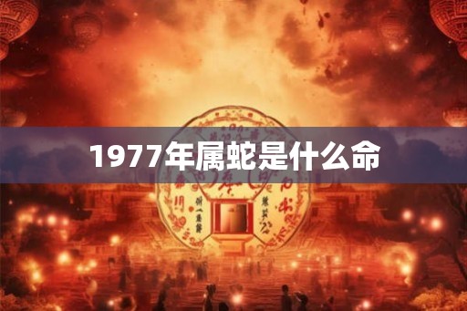 1977年属蛇是什么命