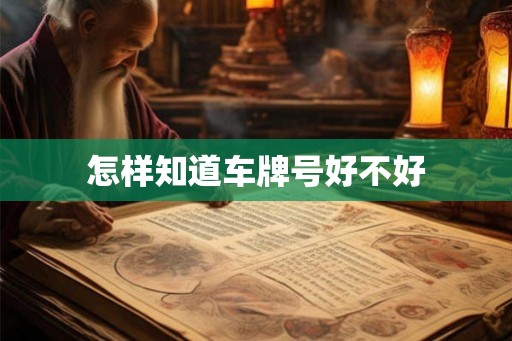 怎样知道车牌号好不好