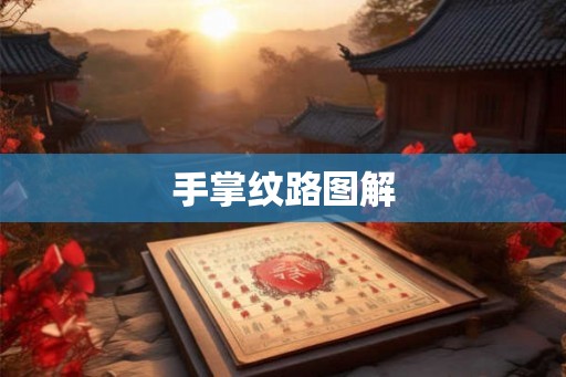 手掌纹路图解