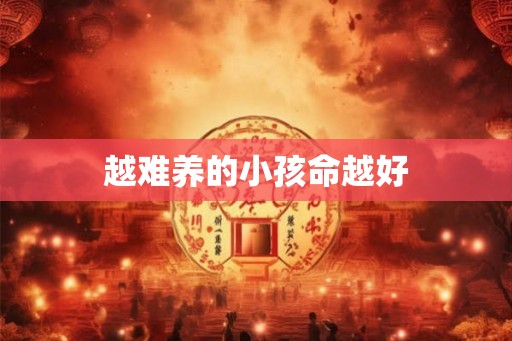 越难养的小孩命越好