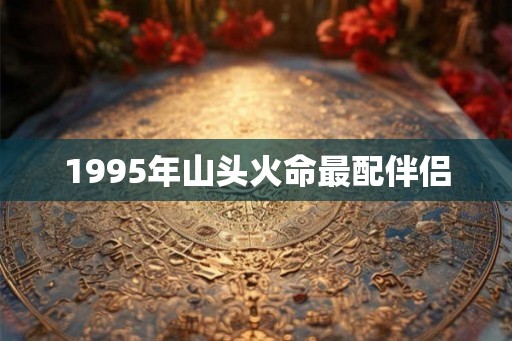 1995年山头火命最配伴侣 1995年山头火命最配伴侣