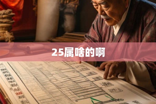 25属啥的啊