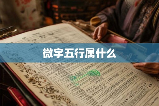 微字五行属什么