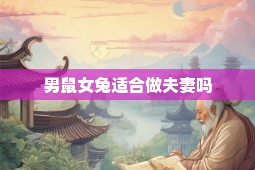 男鼠女兔适合做夫妻吗