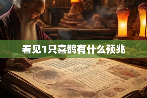 看见1只喜鹊有什么预兆