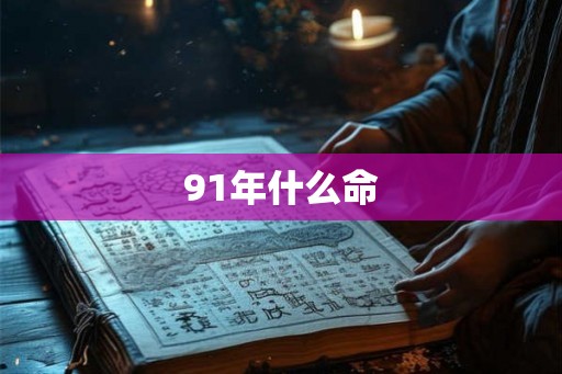91年什么命