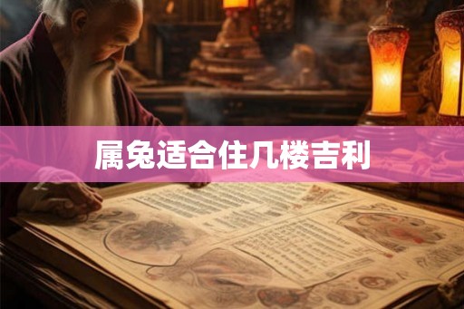 属兔适合住几楼吉利