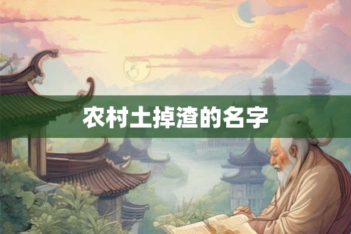 农村土掉渣的名字 农村土掉渣的名字