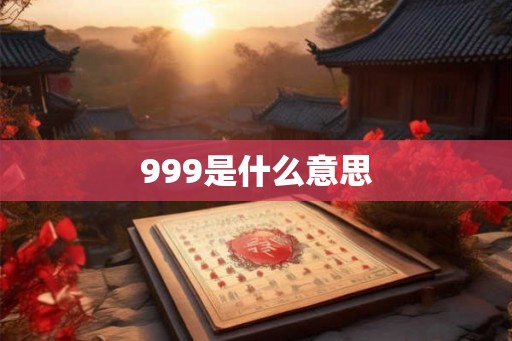 999是什么意思