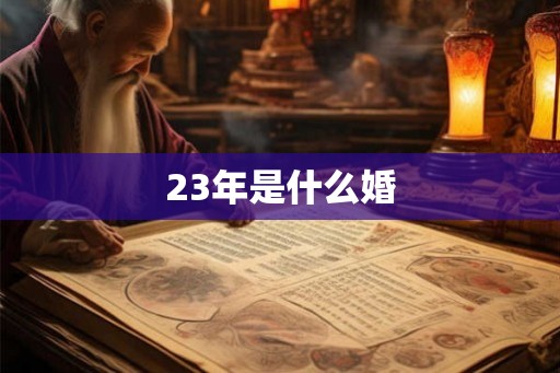 23年是什么婚