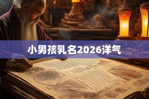 小男孩乳名2026洋气 小男孩乳名2026洋气