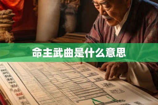命主武曲是什么意思