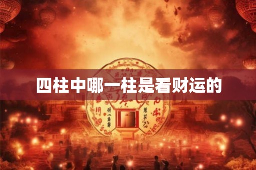 四柱中哪一柱是看财运的