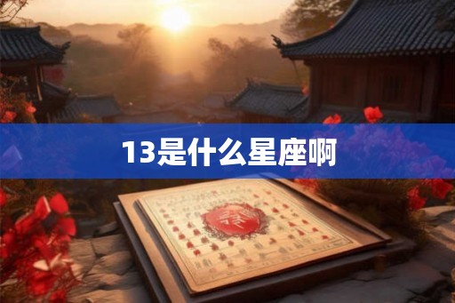 13是什么星座啊