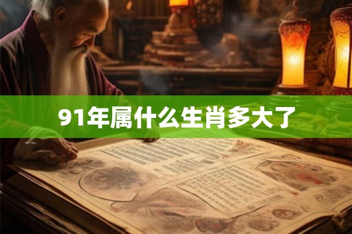 91年属什么生肖多大了