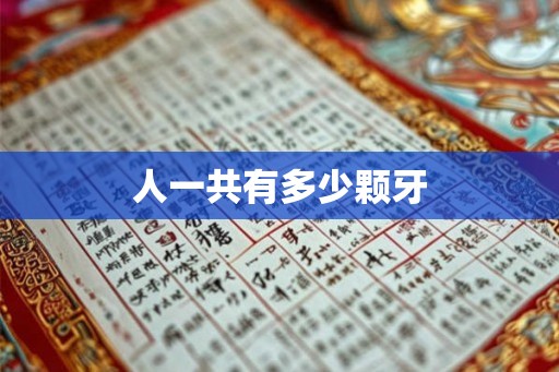 人一共有多少颗牙 人一共有多少颗牙