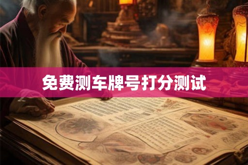 免费测车牌号打分测试