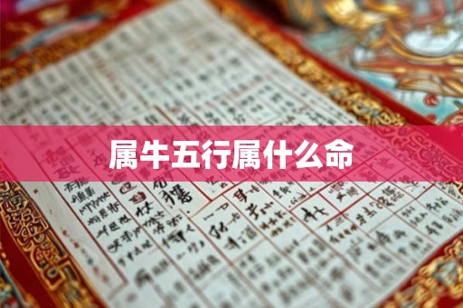 属牛五行属什么命