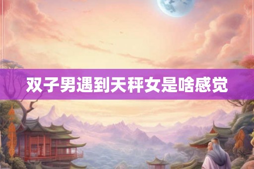 双子男遇到天秤女是啥感觉