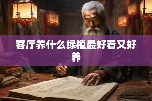 客厅养什么绿植最好看又好养