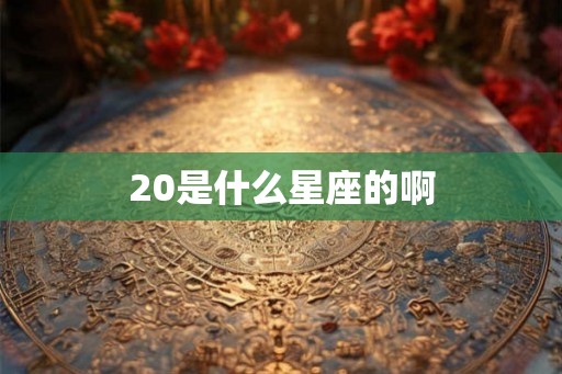 20是什么星座的啊