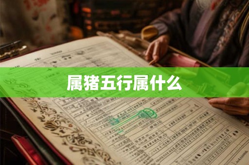 属猪五行属什么
