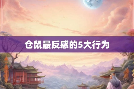 仓鼠最反感的5大行为