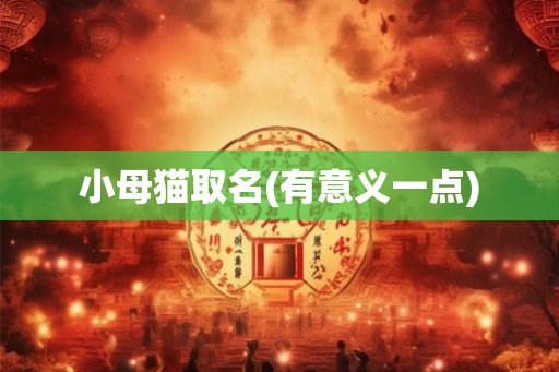 小母猫取名(有意义一点)