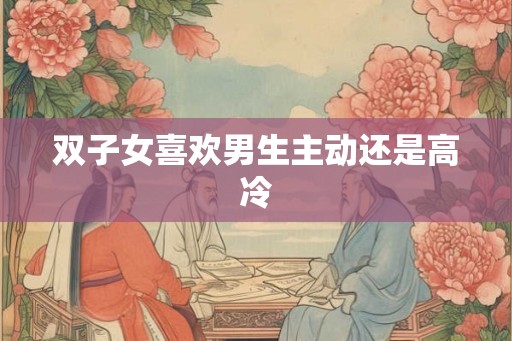 双子女喜欢男生主动还是高冷