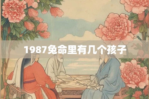 1987兔命里有几个孩子 1987兔命里有几个孩子