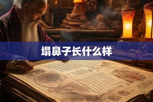 塌鼻子长什么样