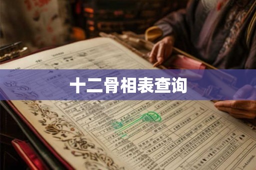 十二骨相表查询