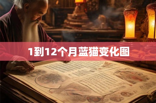 1到12个月蓝猫变化图