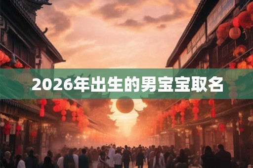 2026年出生的男宝宝取名
