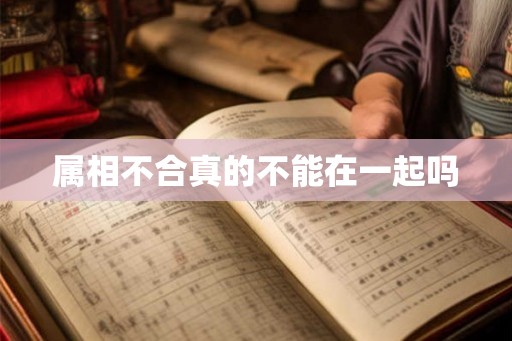 属相不合真的不能在一起吗