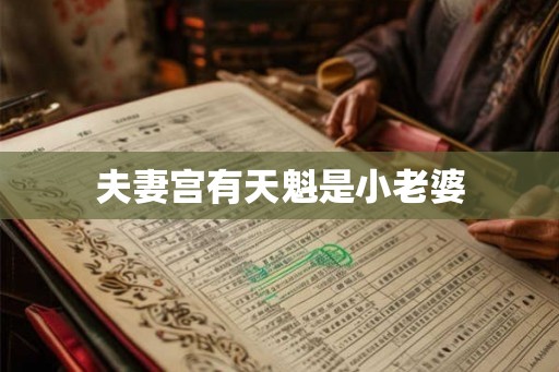 夫妻宫有天魁是小老婆 夫妻宫有天魁是小老婆