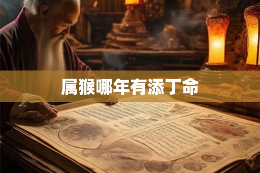 属猴哪年有添丁命