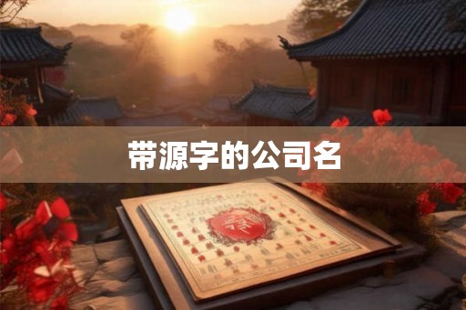 带源字的公司名