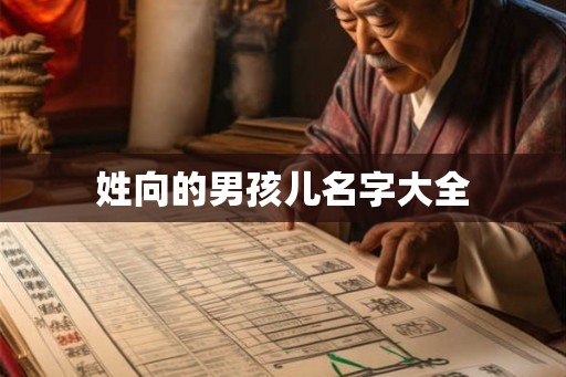 姓向的男孩儿名字大全