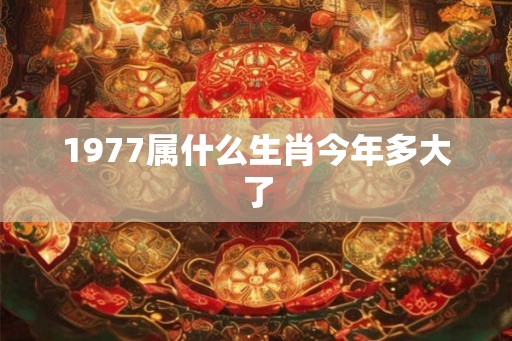 1977属什么生肖今年多大了